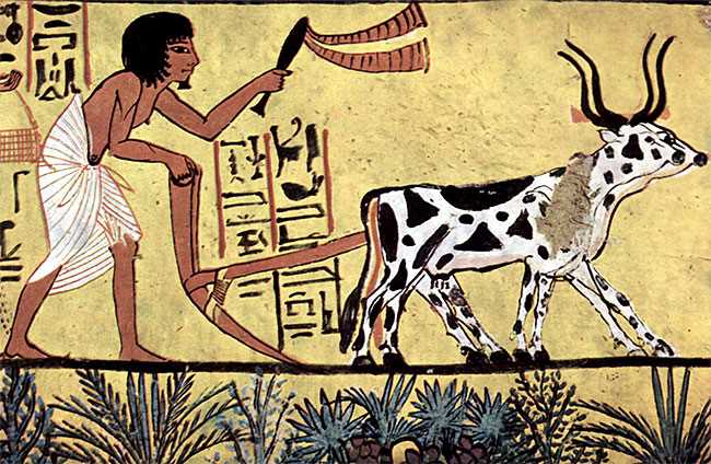 Аграрная революция: изменения в процессе хлебопечения в древности