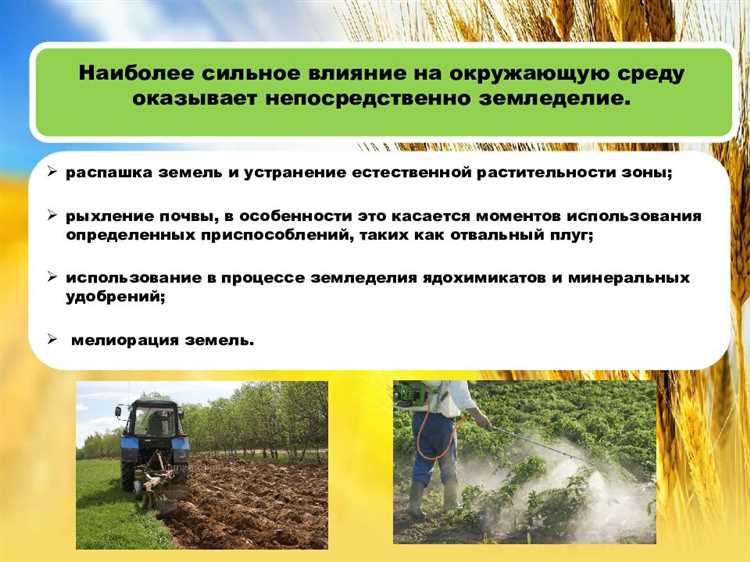 Эммер сорт илецкого ландшафтного птицецентра в Республике Башкортостан и его влияние на экологически устойчивое земледелие