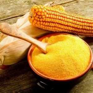 Факты о кукурузной муке: от происхождения до применения