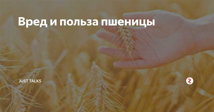 Польза и вред твердой пшеницы