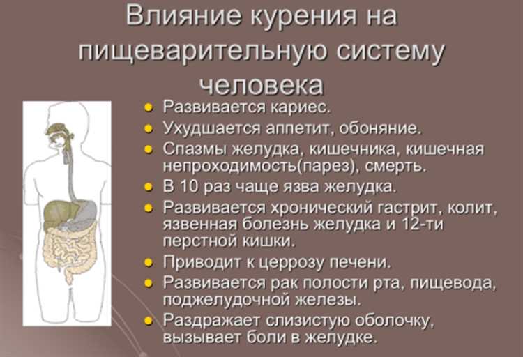 Польза черного хлеба для пищеварительной системы