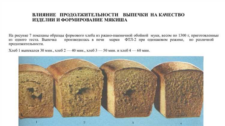 Черный хлеб: секреты правильного хранения