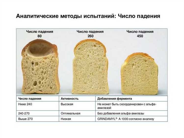 Формы для веганского хлеба: особенности использования Формы для веганского хлеба: какие особенности нужно учитывать