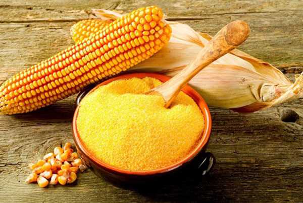 История выращивания и переработки кукурузы