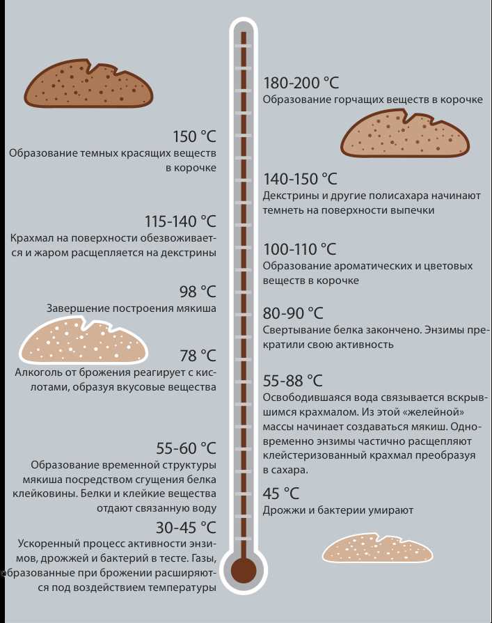 Важность правильного подбора ингредиентов