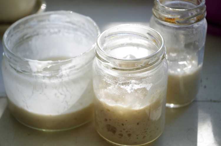 Как сохранить и использовать остатки теста и закваски?