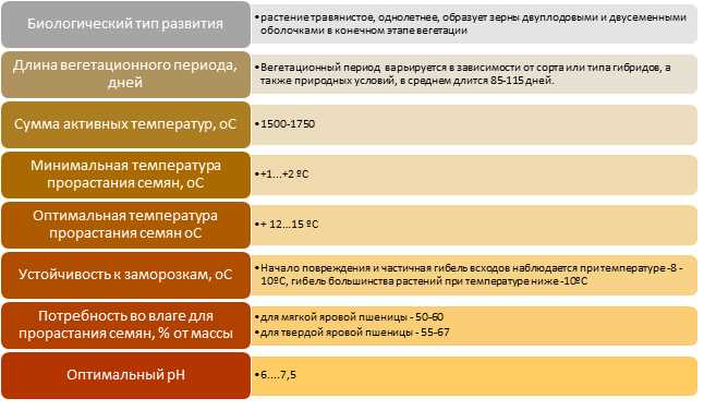 Как выбрать подходящий сорт мягкой пшеницы для выращивания