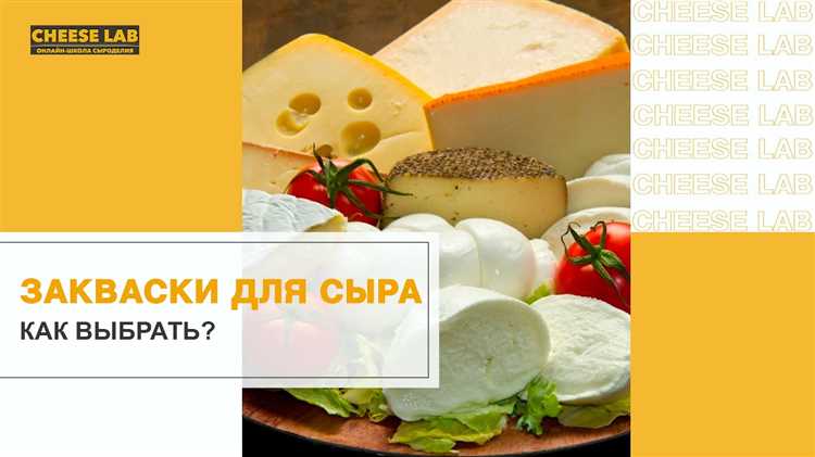 Как выбрать правильные закваски для приготовления сыра?