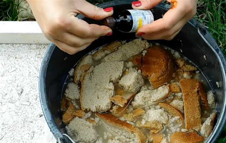 Как взбодриться с хлебом с добавками суперфудов в утренних рецептах