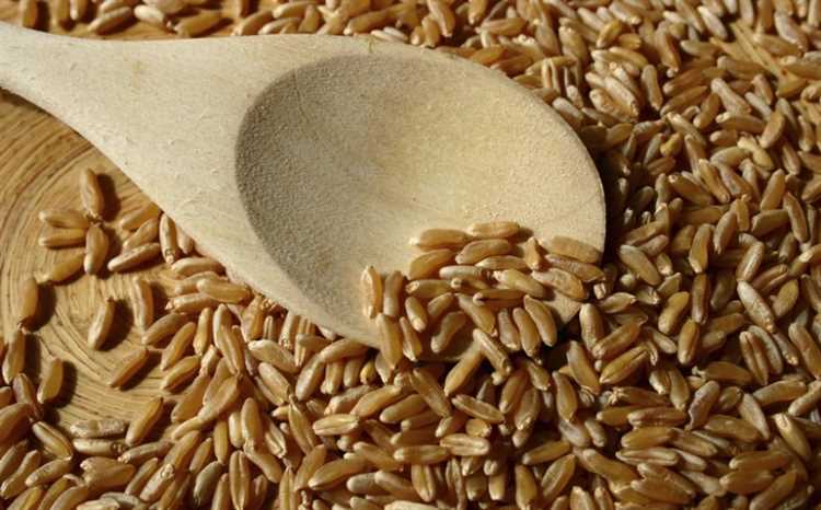 Усложнения при выращивании твердой пшеницы в экстремальных климатических условиях
