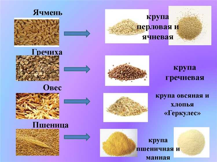 Применение эммера в современном питании и кулинарии