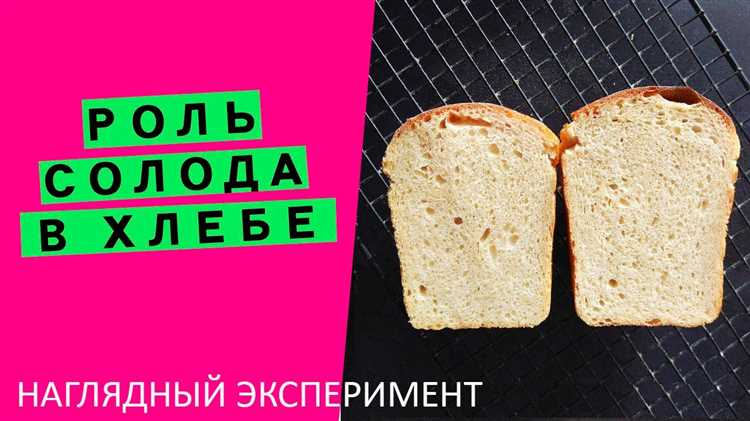 Влияние правильного соотношения на структуру и текстуру хлеба