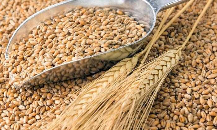 Преимущества употребления твердой пшеницы для организма