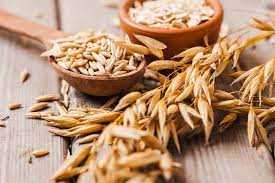 Пшеница в медицине: исторические примеры использования пшеницы в лечении различных заболеваний.