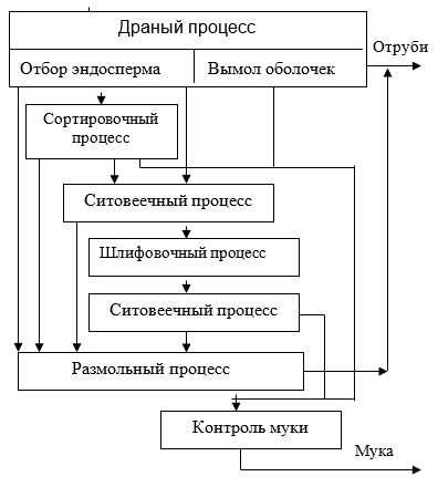 Уникальные свойства твердой пшеницы