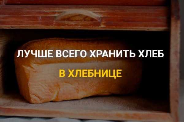 Топ-3 хлебных коробов с вентиляцией: оптимальное сохранение свежести хлеба