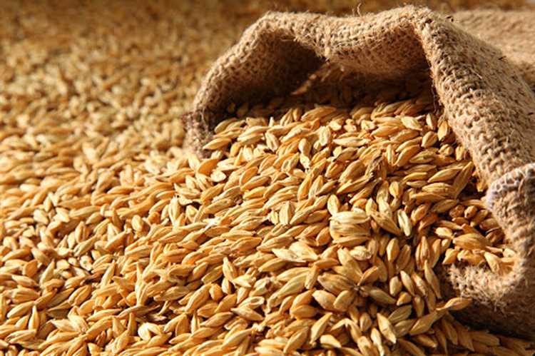 Польза твердой пшеницы в борьбе с лишним весом: миф или реальность?