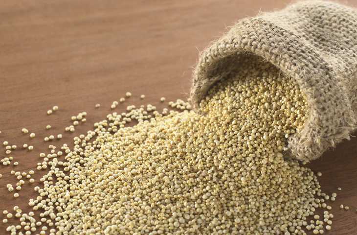 Твердая пшеница: полезность для поддержания флоры в ЖКТ