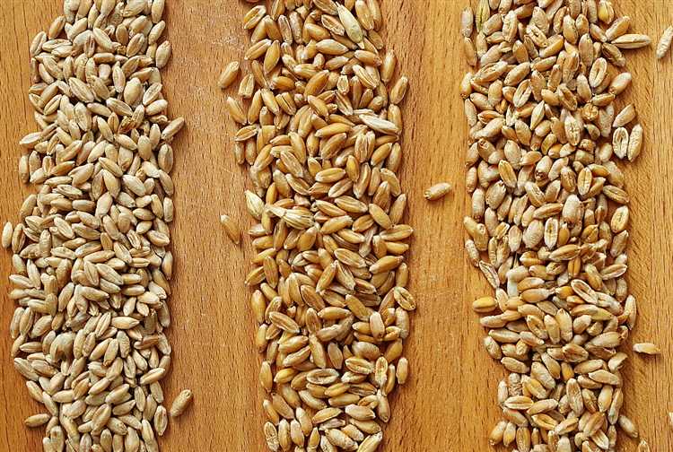 Методы сохранения полезных свойств твердой пшеницы