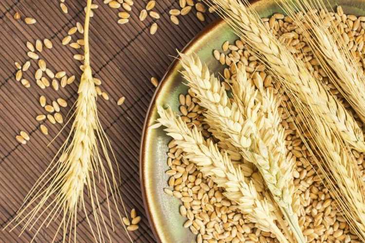 Твердая пшеница: новые горизонты кулинарии