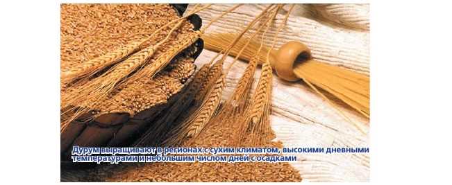Правила хранения