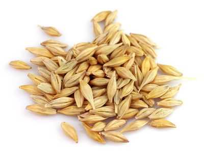 Твердая пшеница: полезные свойства и состав