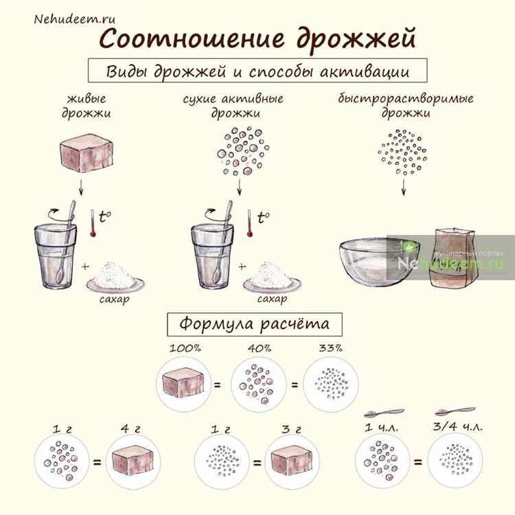 Виды дрожжей: как выбрать правильные для своей выпечки?