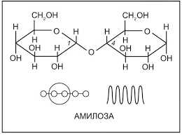Советы по выбору и использованию сахара и солода в хлебопечении