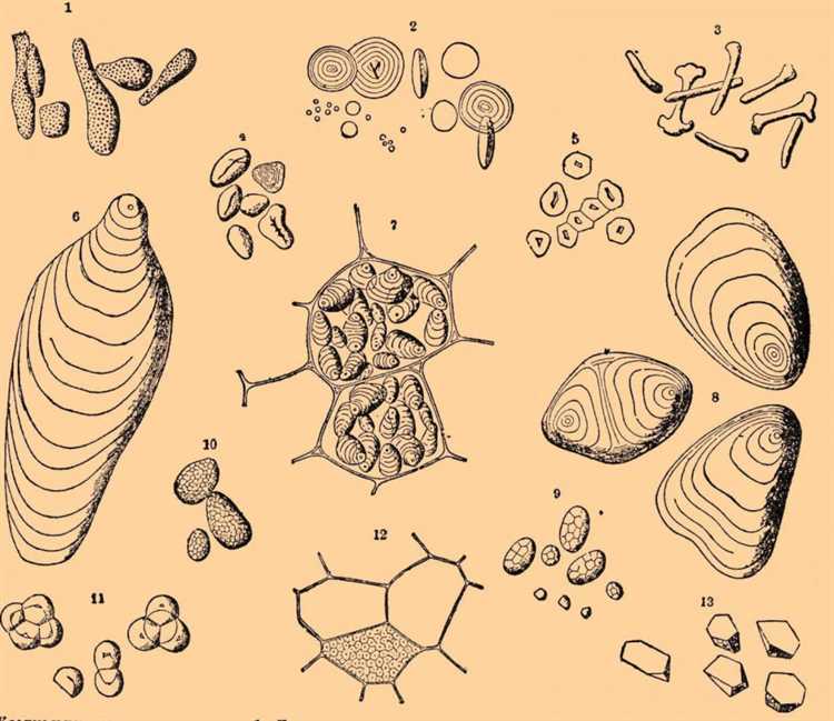 Возможности совмещения сахара и солода в разных типах хлеба