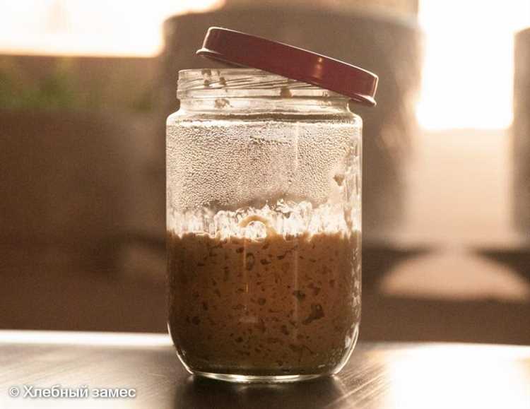 Различные виды заквасок