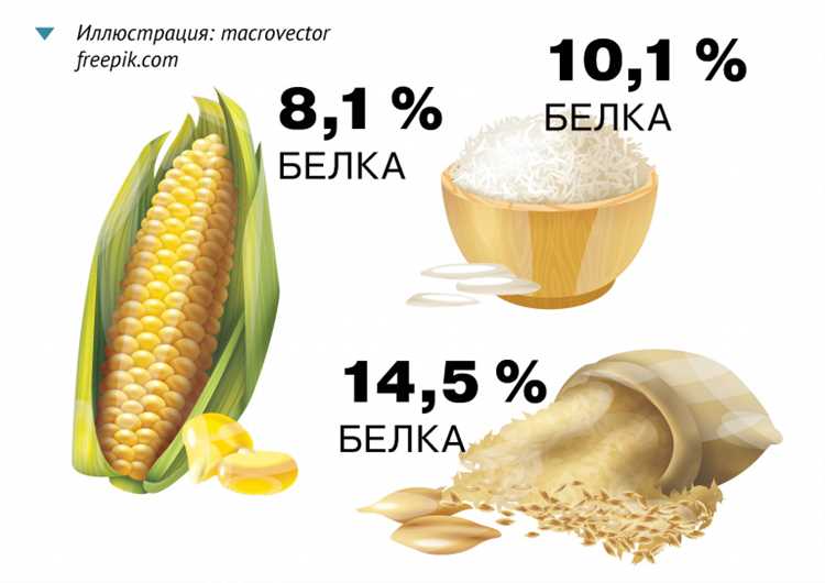 Пшеница и здоровье: польза и проблемы потребления